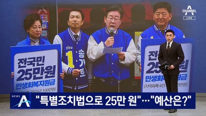 민주당 “특별조치법으로 25만 원”…“예산은?” 여권 반발