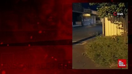 Bursa'da sokakta gezen tilki görüntülendi