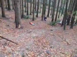 The Amanda's handicap without brain