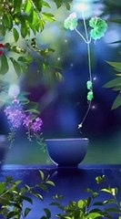 --Feel The Music ❤️-- __ Nature Video Status-- __ INature Whatsapp Status✨