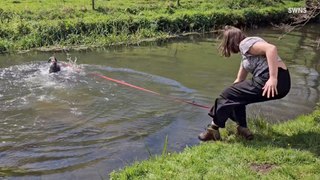 Hilarious Video Shows Dog Owner Being Accidentally Pulled Into A River