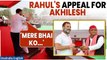 Rahul Gandhi Appeals Vote for Akhilesh Yadav in Kannauj, UP | AAP's Sanjay Singh Also Present