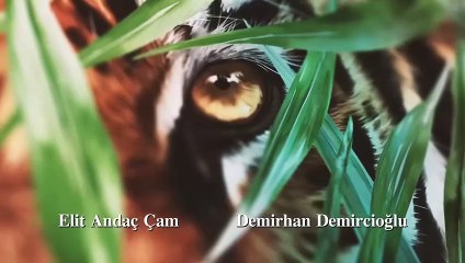 مسلسل بهار الحلقة 52 الثانية والخمسون مدبلج HD