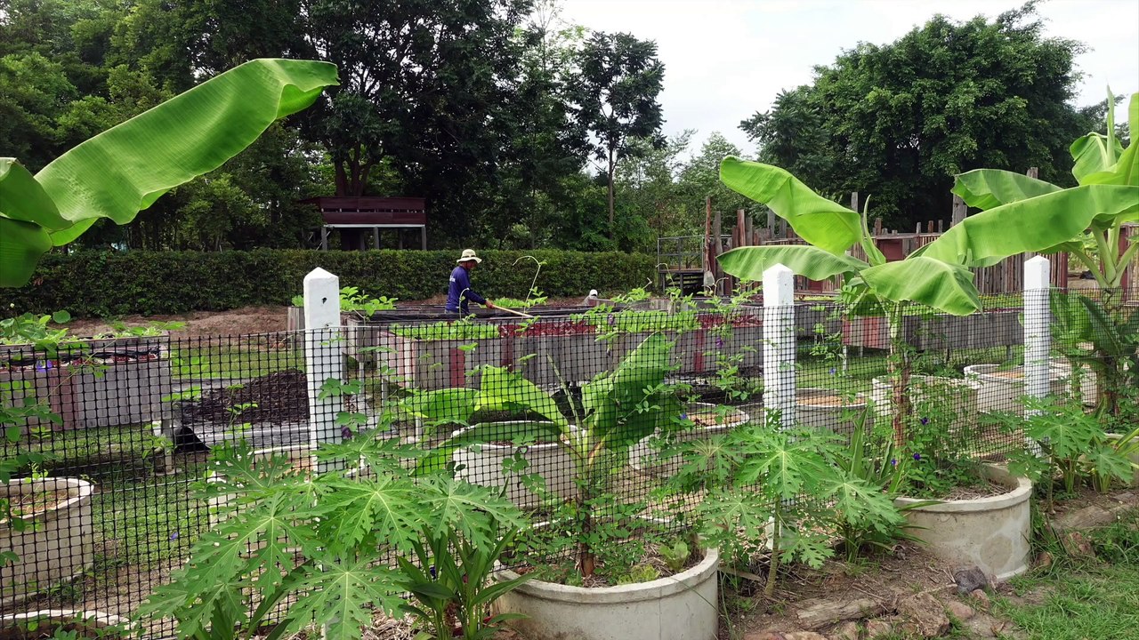 Auf dem Dorf in Thailand gibt es viel zu entdecke.