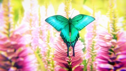 "Throughout Heaven and Earth, I alone am the honored one."