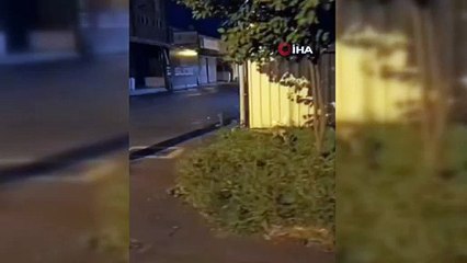 Bursa'da gece vakti sokak ortasında görüldü, gözden kayboldu!