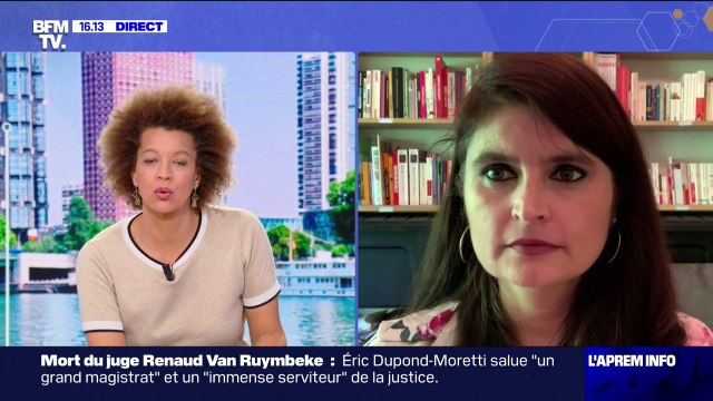 Notre objectif, c'est d'avoir des eurodéputés : Hélène Thouy, avocate et tête de liste du Parti animaliste était en direct sur BFMTV