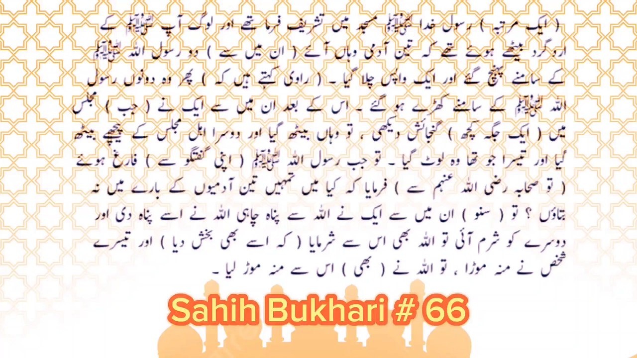 Sahih Bukhari # 66