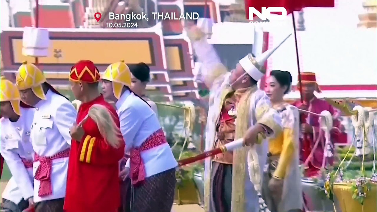 Königliche Pflugzeremonie in Thailand: Ochsen sagen reiche Ernten voraus