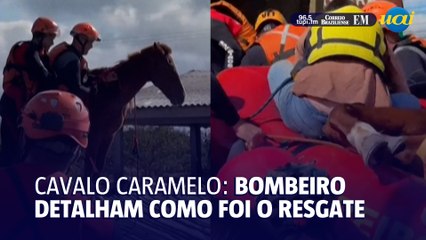 Saiba detalhes de como foi o resgato do Cavalo Caramelo