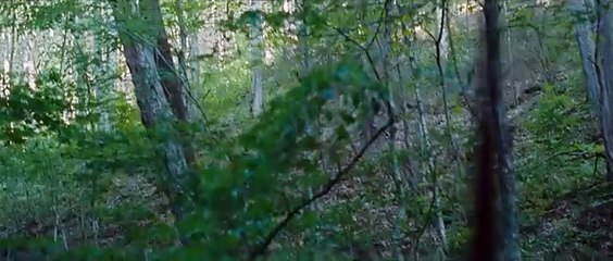 Hunger Games Bande-annonce (ES)