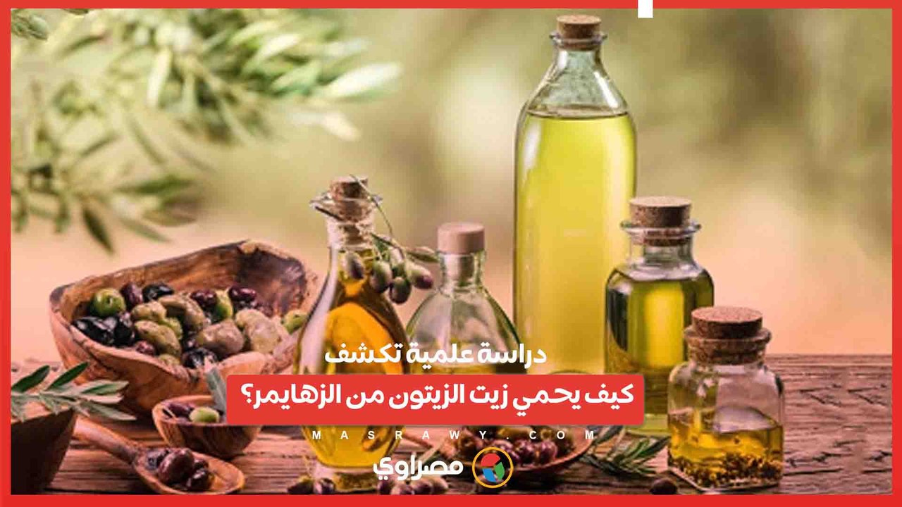 دراسة علمية تكشف .. كيف يحمي زيت الزيتون من الز...