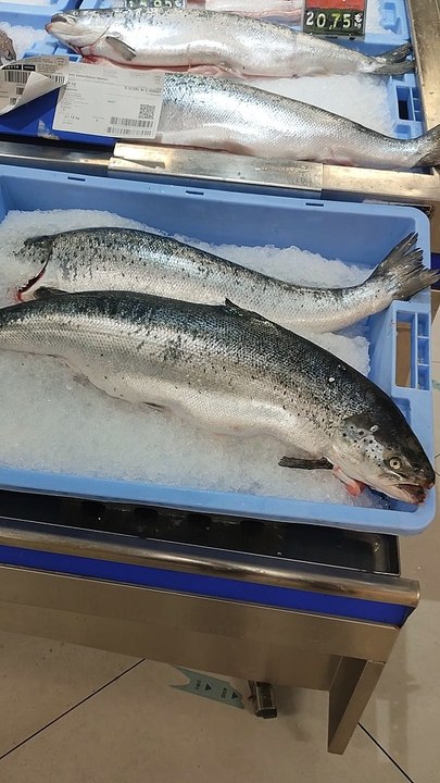 Pescadería