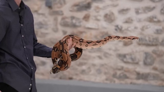 Devine qui n’a pas de phobie parmi 16 inconnus (1 seul n’a peur de rien)