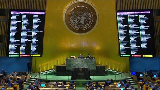 Assembleia Geral da ONU dá voto favorável à adesão da Palestina em decisão não vinculante