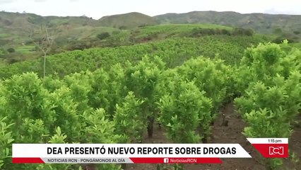 En Colombia se origina hasta el 97% de la cocaína que se incauta en Estados Unidos, según la DEA