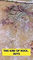 Hopefully it can save many lives