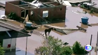 Un cheval coincé sur le toit d'une maison pendant les inondations au Brésil