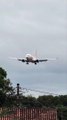 Aeroporto de Joinville vira ponto turístico com aviões passando 