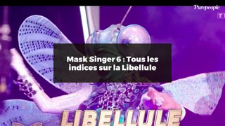 Mask Singer 6 : Tous les indices sur la Libellule