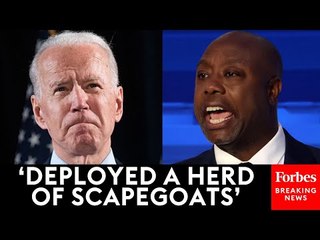 ‘No Shortage Of Finger Pointing’: Tim Scott Lambasts Dems For Blaming Inflation On Junk Fees