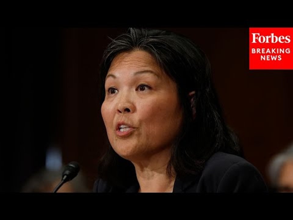 JUST IN: Democrats And Republicans Grill Acting...