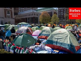 Dr. Gallin: This Is How University Administrators Should Have Responded To Pro-Palestine Protests