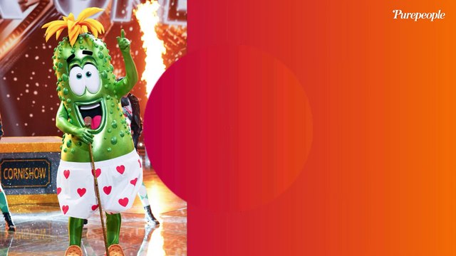 Mask Singer 6 - Le Cornichon démasqué, les enquêteurs complètement largués : On a rien compris aux indices...