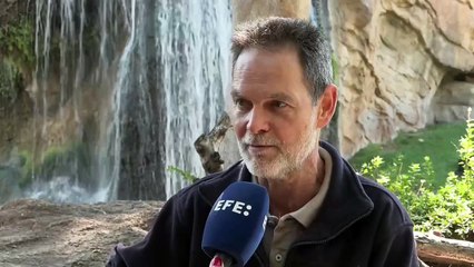 Emotivo video de la chimpancé Natalia en España