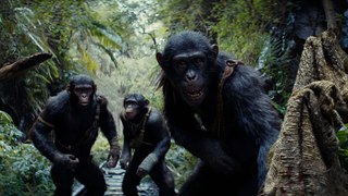 'Kingdom of the Planet of the Apes' Makes $6.6M in Box Office Previews | THR News Video