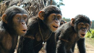Protect Trailer for Kingdom of the Planet of the Apes