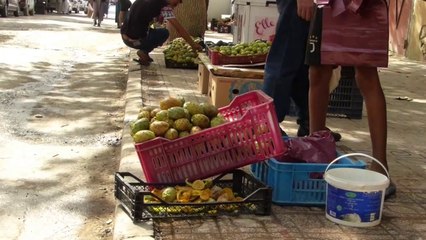 Prickly pear...a summer fruit and the livelihood of thousands in Algeria