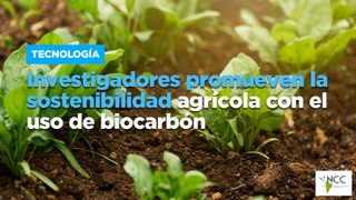 Investigadores promueven la sostenibilidad agrícola con el uso de biocarbón