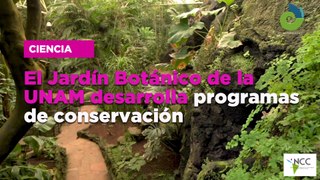 El Jar­dín Bo­tá­ni­co de la UNAM desa­rro­lla pro­gra­mas de con­ser­va­ción
