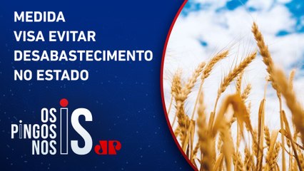 Governo autoriza importação de um milhão de toneladas de arroz ao RS