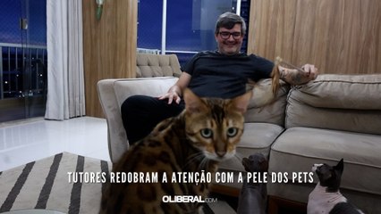 Tutores redobram a atenção com a pele dos pets