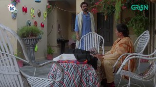 Pas e Deewar Episode 4   Arsalan Naseer   Noor Zafar Khan   Ali Rehman Khan Green TV