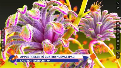 Publireportaje Tectoc - 100524