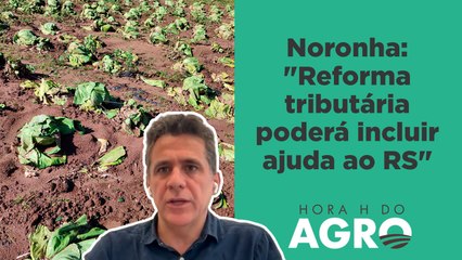 Como as enchentes no RS vão afetar as pautas do Congresso? | HORA H DO AGRO