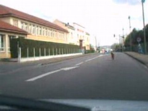 oissel la plus bel ville de normandie