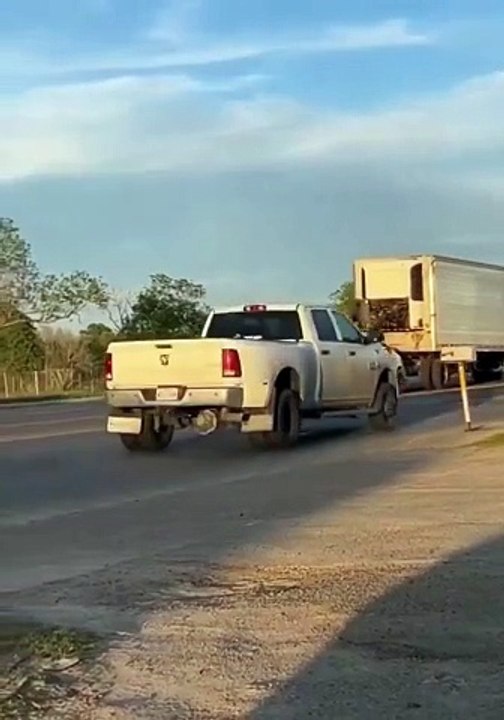 Tesla Model Y trailer