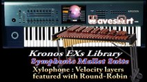 Korg Kronos EXs Symphonic Mallet Suite