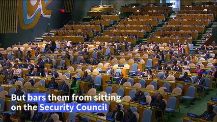 UN votes symbolically in favour of Palestinian membership