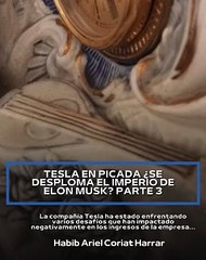 |HABIB ARIEL CORIAT HARRAR | LECCIONES DE LA CRISIS DE TESLA (PARTE 3) (@HABIBARIELC)