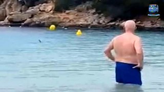 British Family 'Terrified' After Being Circled by a Shark on a Spanish Beach