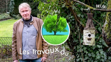 Travaux du jardin - 11 mai 2024 - Les poireaux