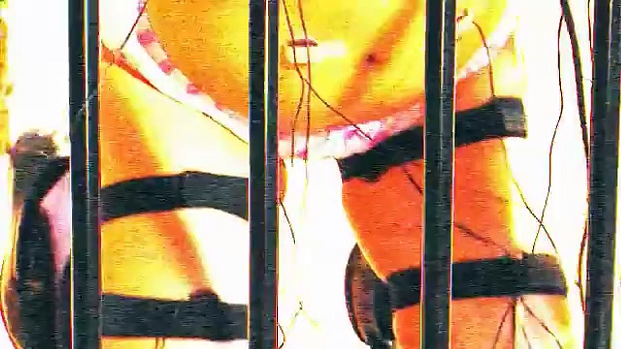 Missing 77 Bande-annonce (EN)