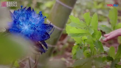 FULL_ The girl tried to pick a flower from a cliff but fell into a magical world, changing her fate.