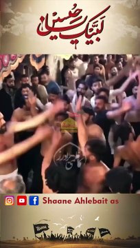 #matam #noha #matamdari #masaib #yahussainas #jaloos #bibisakina #imamzainulabideenع