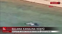 Şanlıurfa'da sulama kanalına düşen çocuk kurtarıldı